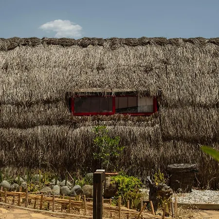 Geko Akbuk * Dagpinar