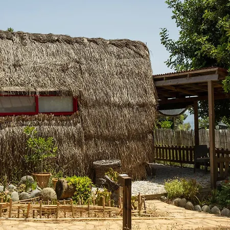 Hotel Geko Akbuk Dagpinar