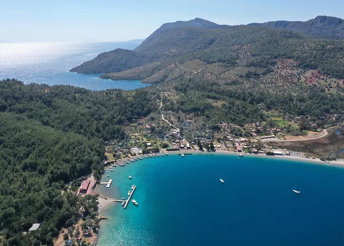 Geko Akbuk * Dagpinar