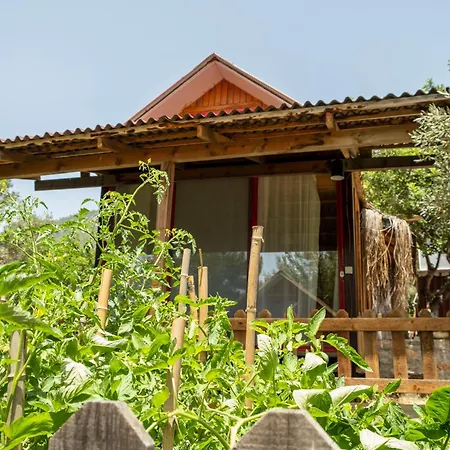 Hotel Geko Akbuk *