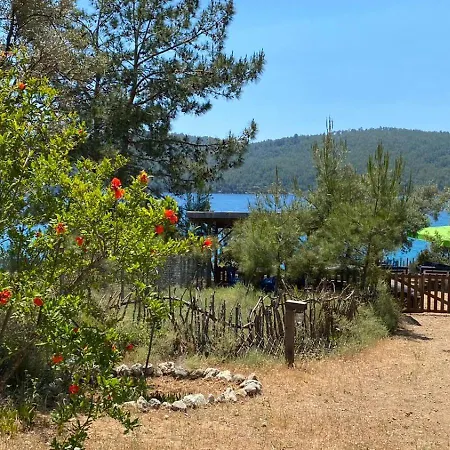 Geko Akbuk * Dagpinar