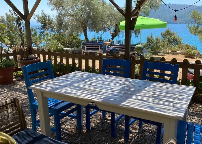 Geko Akbuk * Dagpinar